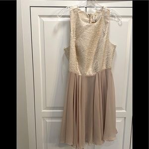 Francesca’s sheer full skirt skater dress medium NWT